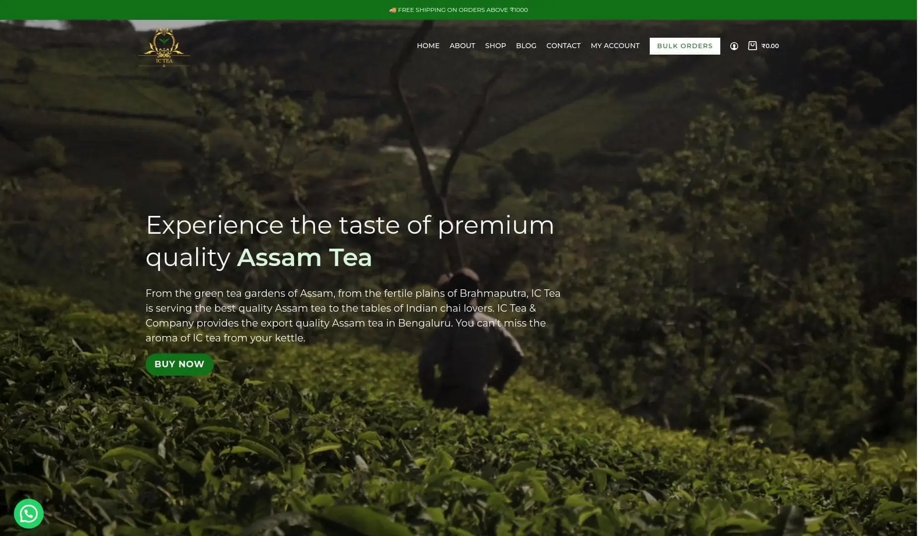 tea marketing website development